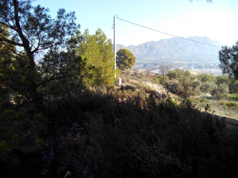 Terreno en Calasparra, Murcia en venta - Vista aérea - Imagen 3 de 9