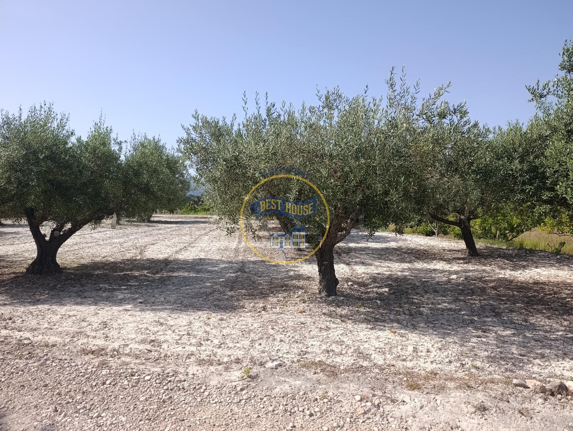 Terreno en Ontinyent, Valencia en venta Foto del edificio- Imagen 1 de 13