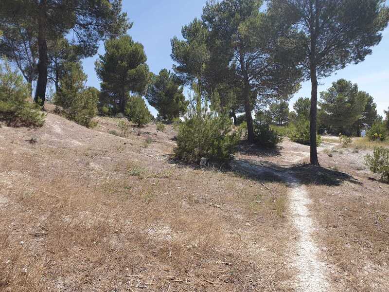 Paraje Picancielo, Polígono, 3, Simancas, Valladolid en venta Foto del edificio- Imagen 1 de 17