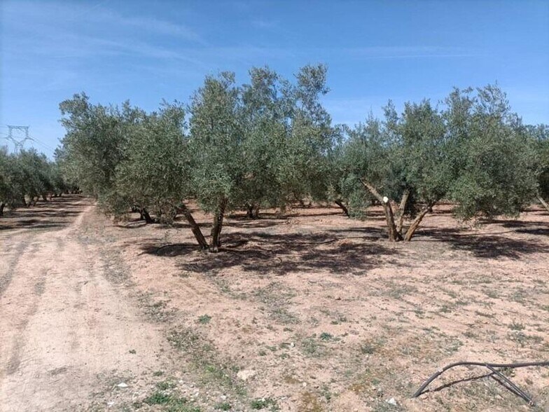 la Zanja, 25, Albolote, Granada en venta - Foto del edificio - Imagen 3 de 22