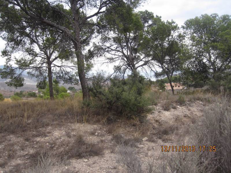 Terreno en MONÒVER, Alicante en venta Foto del edificio- Imagen 1 de 9
