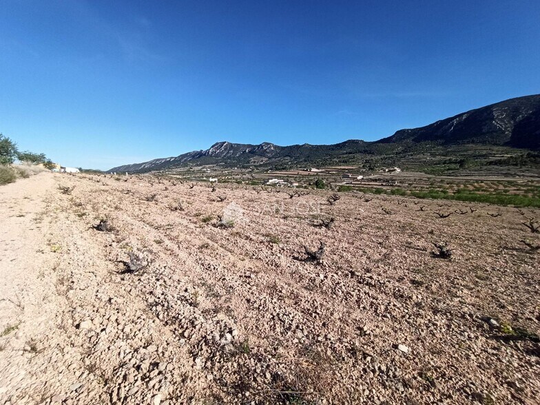 Terreno en Algueña en venta - Foto del edificio - Imagen 2 de 21