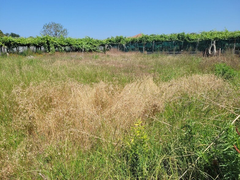 Terreno en Cambados, Pontevedra en venta - Plano del sitio - Imagen 3 de 9