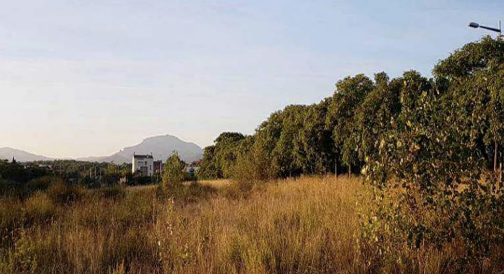 Terreno en Sabadell, Barcelona en venta - Plano de la planta - Imagen 1 de 1