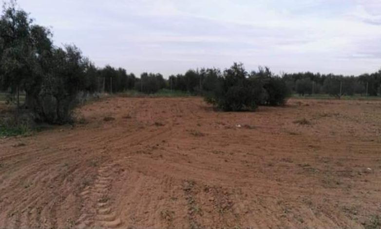 Terreno en Marchena en venta - Foto del edificio - Imagen 3 de 5