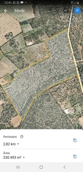 Ma, 6014, Llucmajor, Islas Baleares en venta - Vista aérea - Imagen 1 de 11