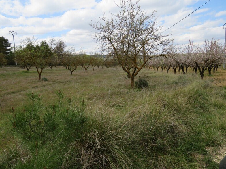 Terreno en Ontinyent, Valencia en venta - Foto del edificio - Imagen 2 de 9