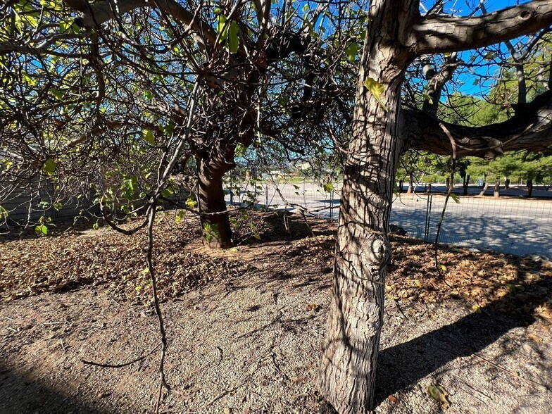 Nave en Pego en venta - Foto del edificio - Imagen 3 de 10