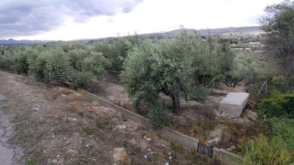 Terreno en Calasparra, Murcia en venta - Foto del edificio - Imagen 1 de 9