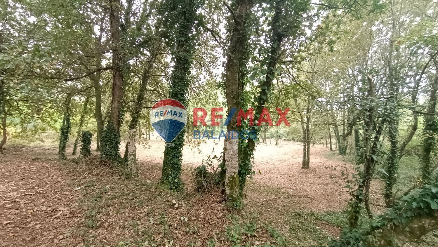 Terreno en O Porriño, Pontevedra en venta Foto del edificio- Imagen 1 de 20
