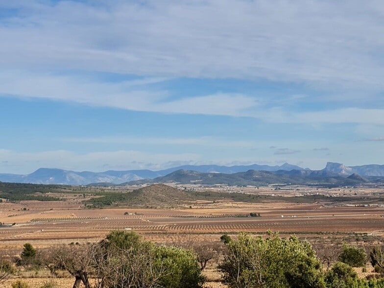Terreno en Yecla, Murcia en venta - Vista aérea - Imagen 2 de 10