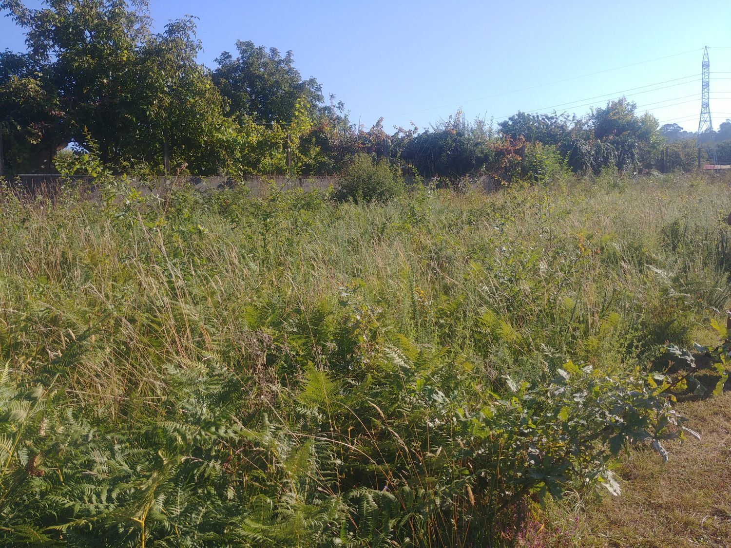 Terreno en Vigo, Pontevedra en venta Plano del sitio- Imagen 1 de 4