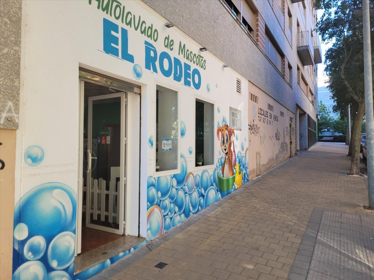 Calle Madre Isabel Larrañaga, Cáceres, Cáceres en venta Foto del edificio- Imagen 1 de 3