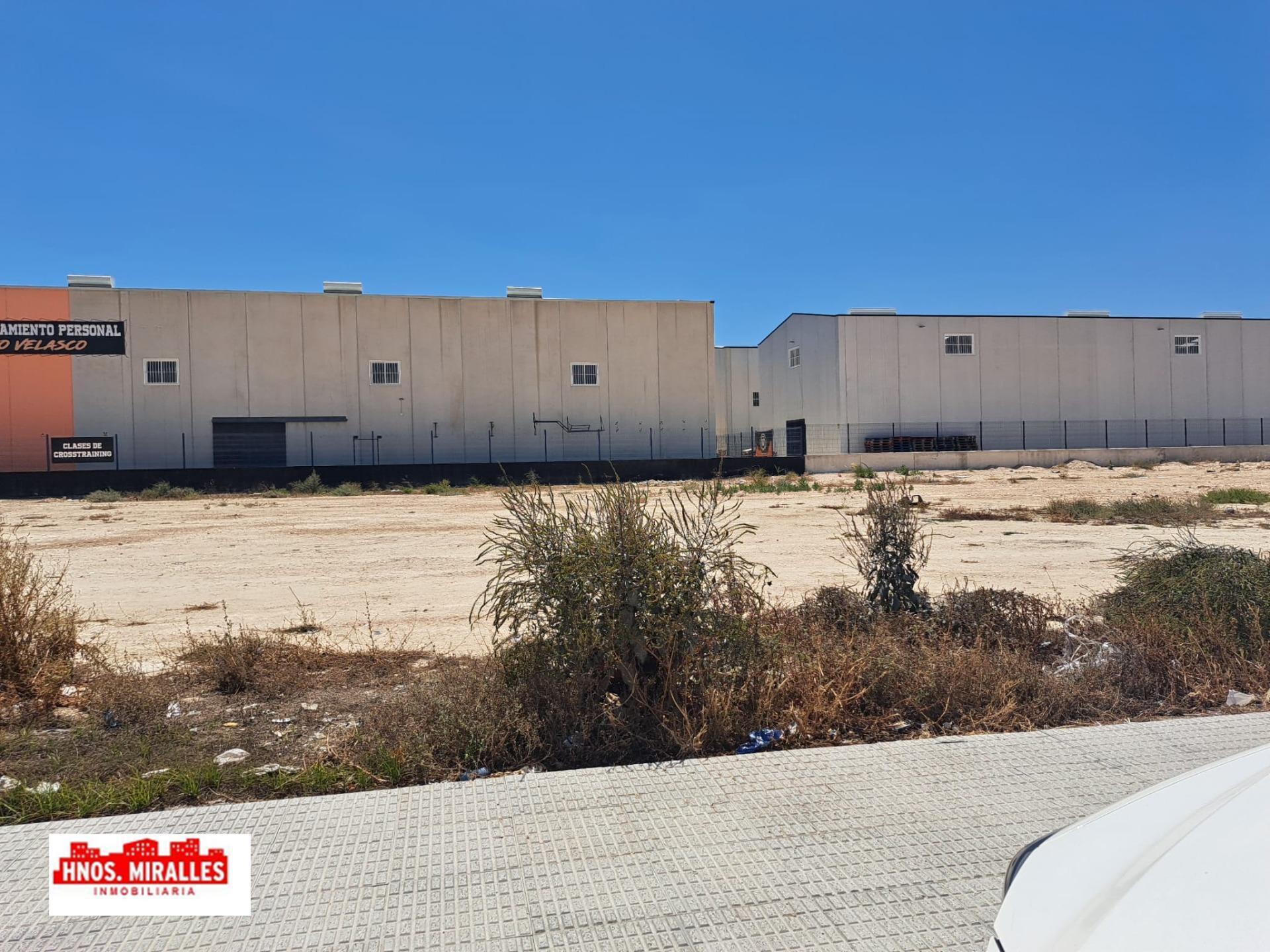 Terreno en Almoradí, Alicante en venta Foto del edificio- Imagen 1 de 6