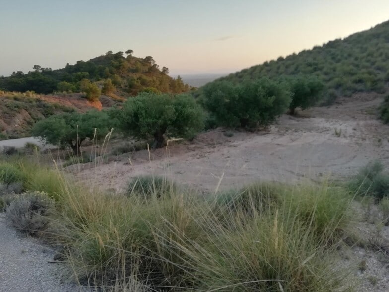 Terreno en Abanilla, Murcia en venta - Vista aérea - Imagen 3 de 5