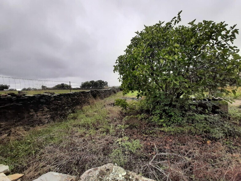 Terreno en Cáceres, Cáceres en venta - Foto principal - Imagen 3 de 13