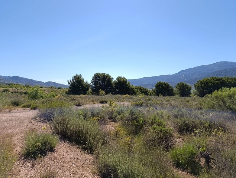 Terreno en Láujar de Andarax, Almería en venta - Vista aérea - Imagen 3 de 8