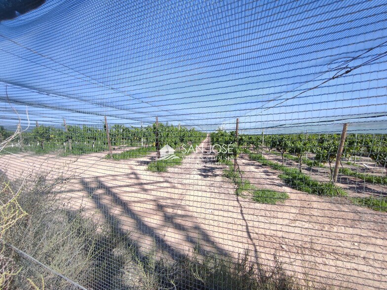 Terreno en Alicante, Alicante en venta - Foto del edificio - Imagen 2 de 8