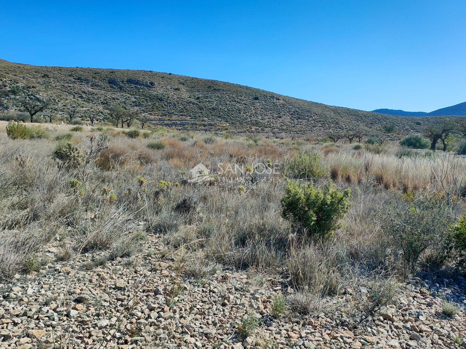 Terreno en Hondón de los Frailes, Alicante en venta Plano del sitio- Imagen 1 de 7