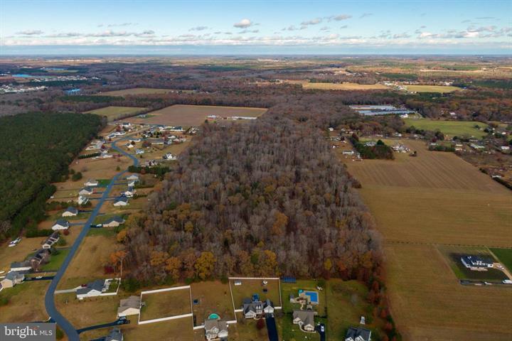 50 acres Mt Joy, Millsboro, DE en venta - Foto del edificio - Imagen 2 de 3