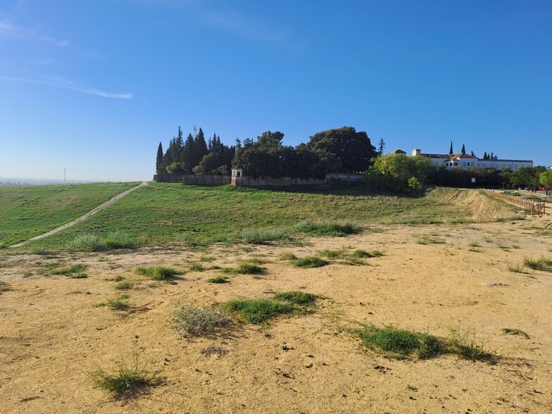 Terreno en Castilleja de Guzmán en venta - Foto del edificio - Imagen 2 de 10