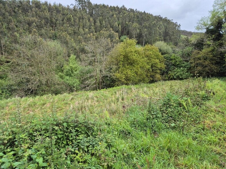 Barrio Cuto, 6, Carreño, Asturias en venta - Foto del edificio - Imagen 3 de 7