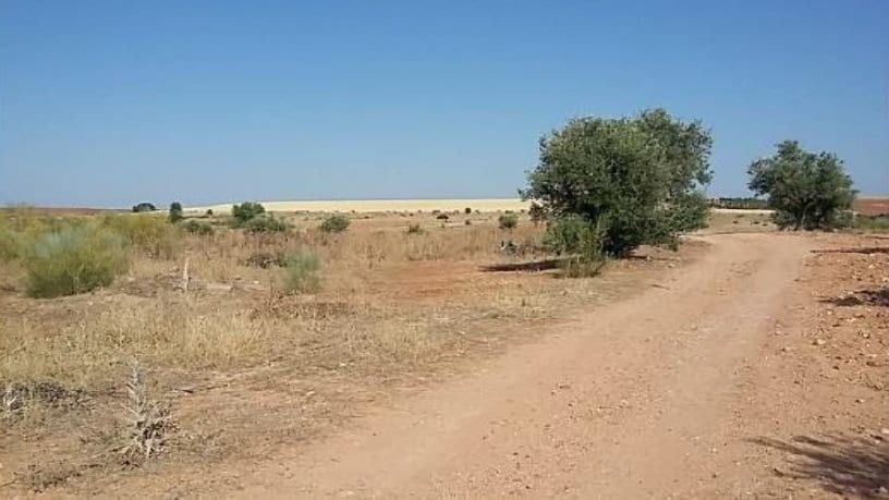 Polig. 1, R-5 Cañadilla cartera de 5 inmuebles en venta en LoopNet.es - Otros - Imagen 2 de 11