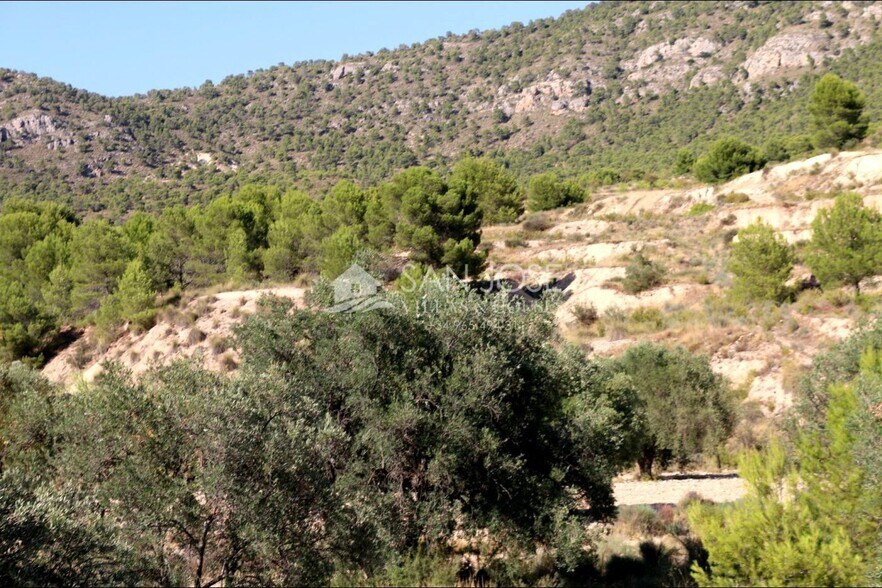 Terreno en MONÒVER, Alicante en venta - Foto principal - Imagen 1 de 23