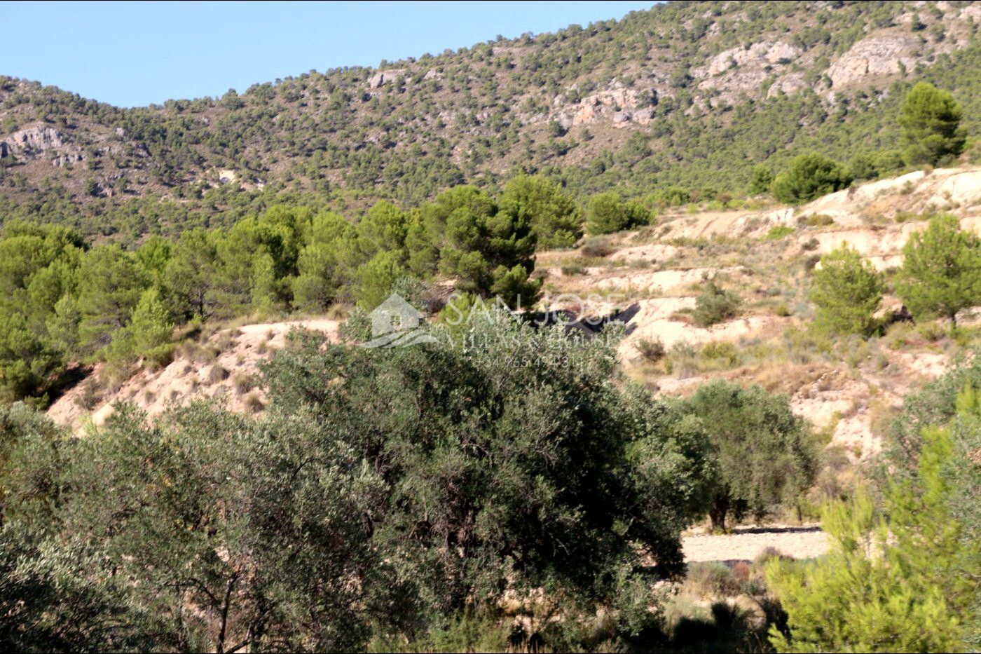 Terreno en MONÒVER, Alicante en venta Foto principal- Imagen 1 de 24