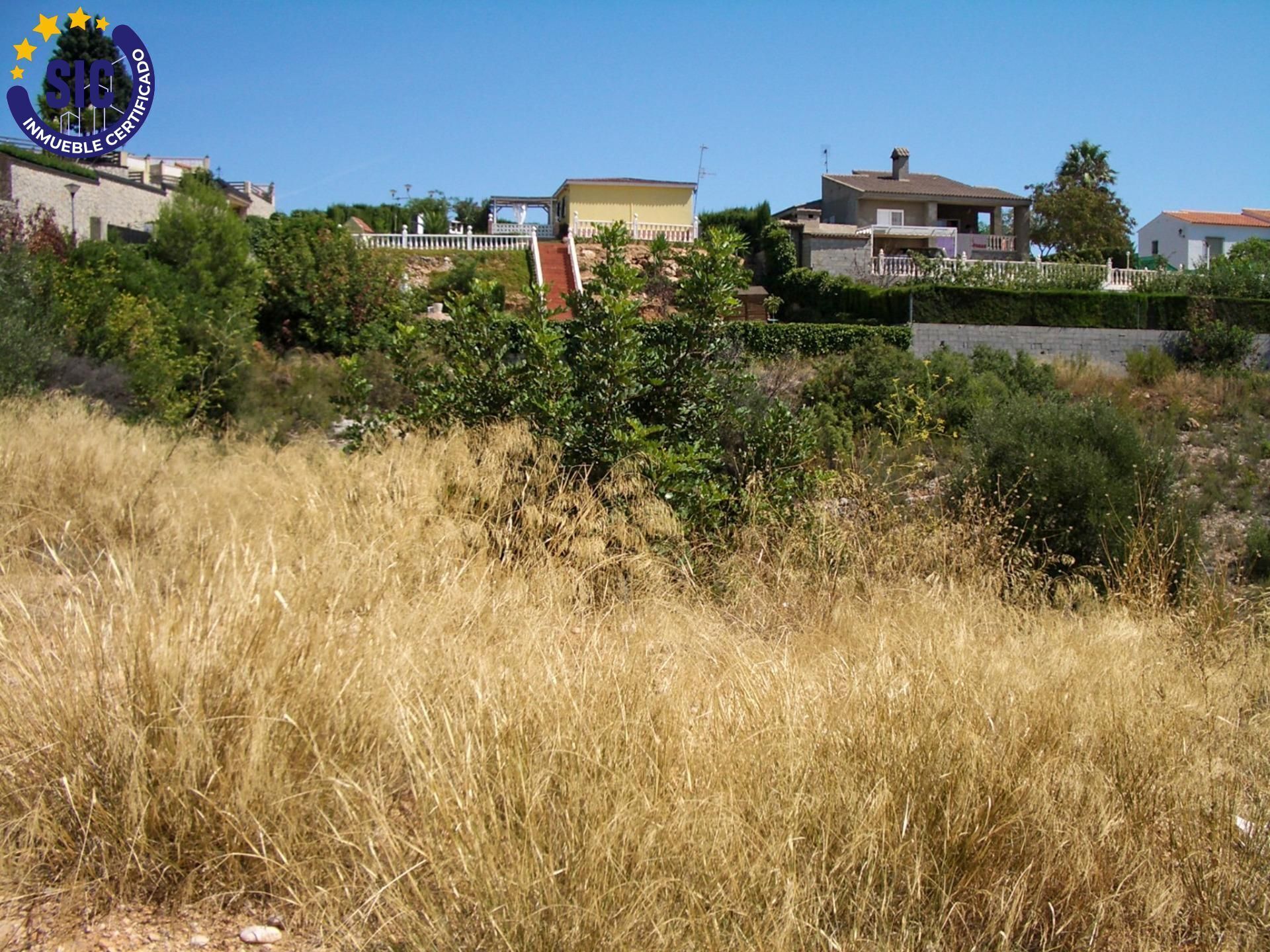 Terreno en Turís, Valencia en venta Foto principal- Imagen 1 de 23
