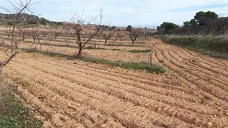 Más detalles de Camino de los Charquillos, Yecla - Terreno en alquiler