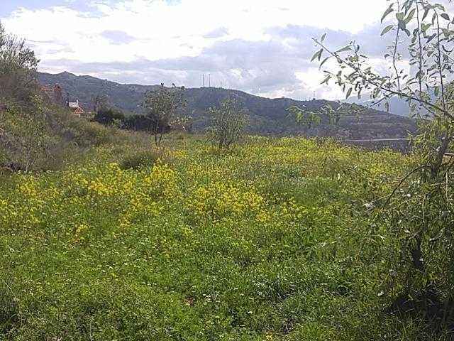 Calle Cuesta, 12, Lanjarón, Granada en venta - Otros - Imagen 3 de 7