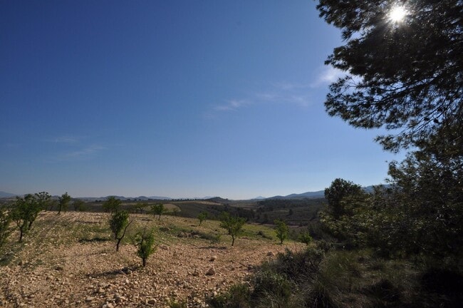 Más detalles de Sin Calle, Jumilla - Terreno en venta