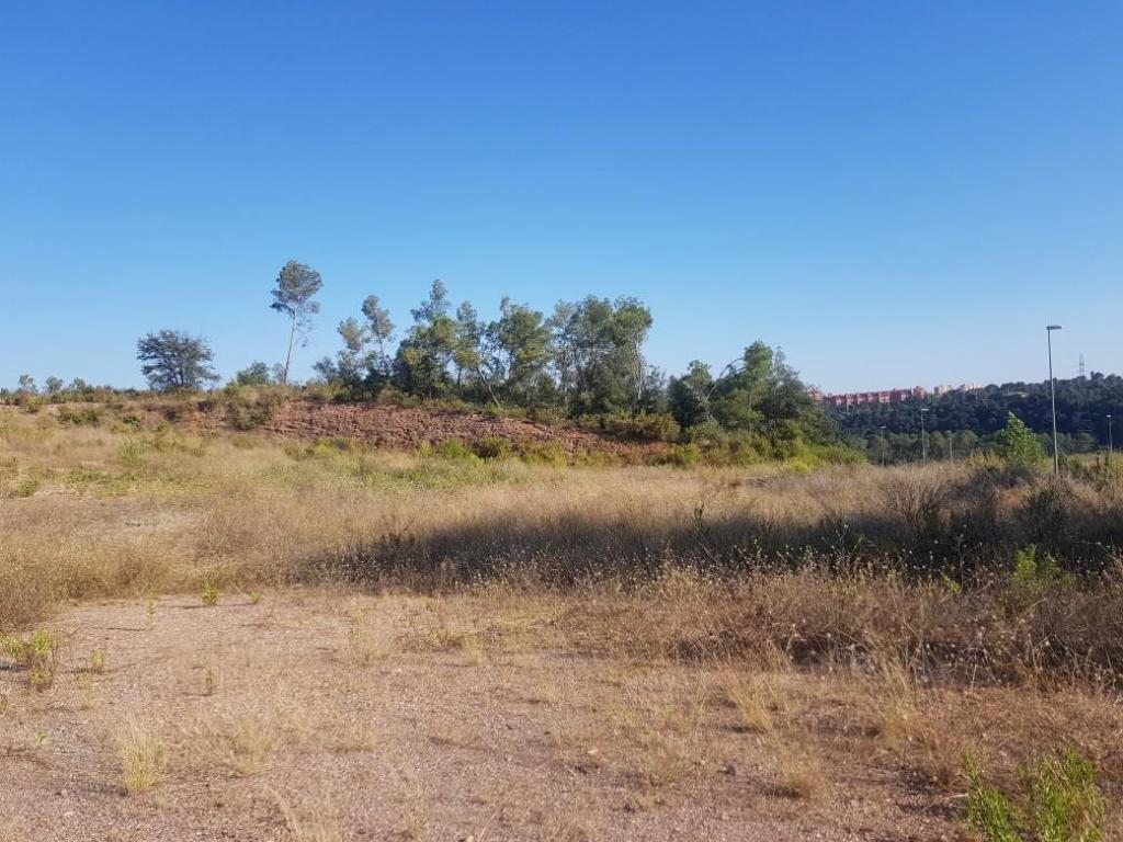 Terreno en Castellar del Vallès, Barcelona en venta Plano de la planta- Imagen 1 de 6