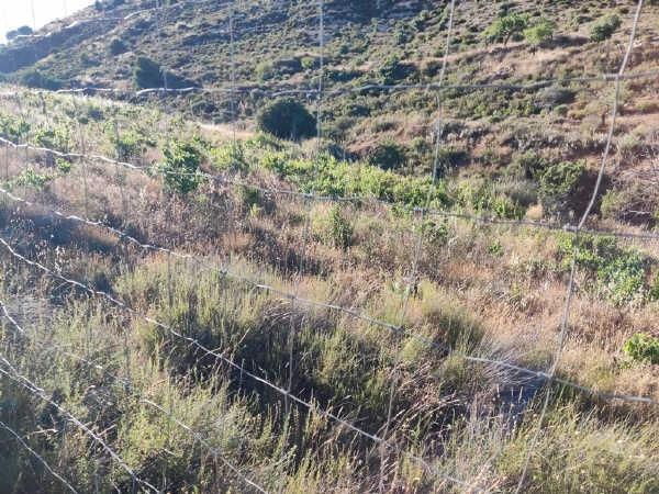 Más detalles de Calle Estación, 1, Albuñuelas - Terreno en venta