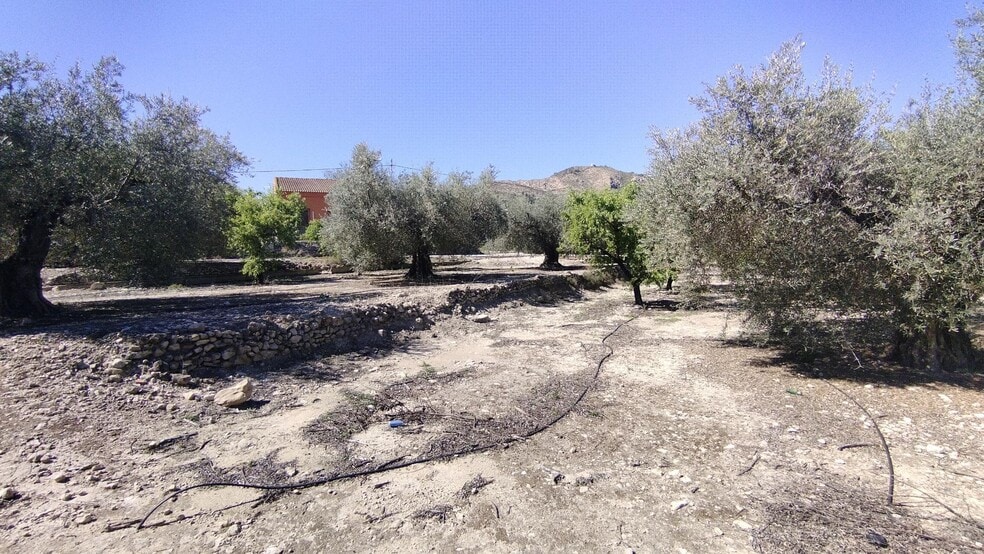 Terreno en Calasparra, Murcia en venta - Foto del edificio - Imagen 3 de 27