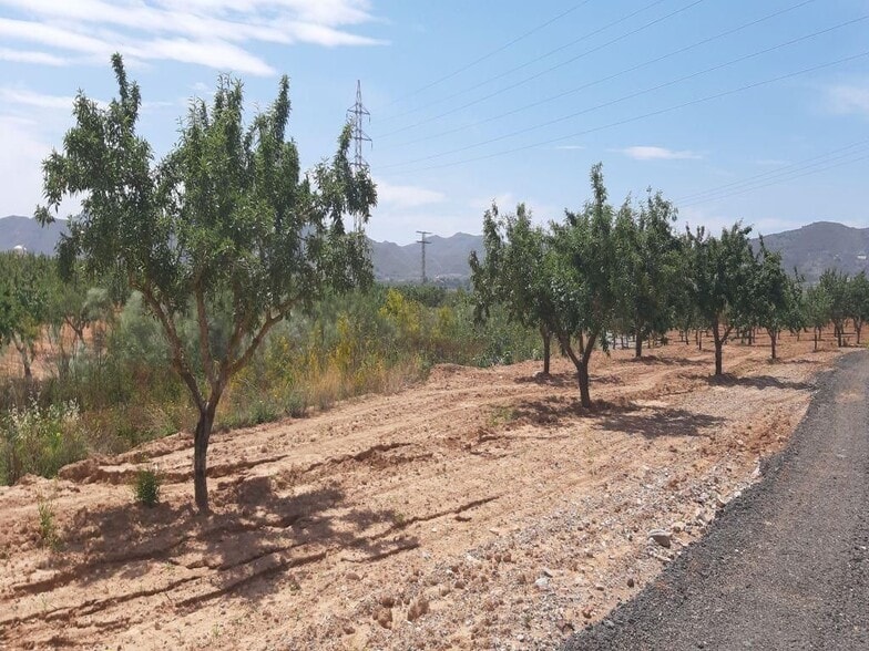 los Barrancos, 240, Fuente Álamo de Murcia, Murcia en venta - Foto principal - Imagen 1 de 7
