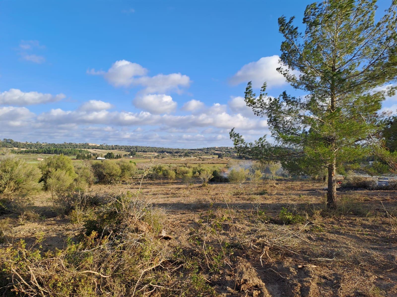 Terreno en Montuïri, Islas Baleares en venta Vista aérea- Imagen 1 de 11