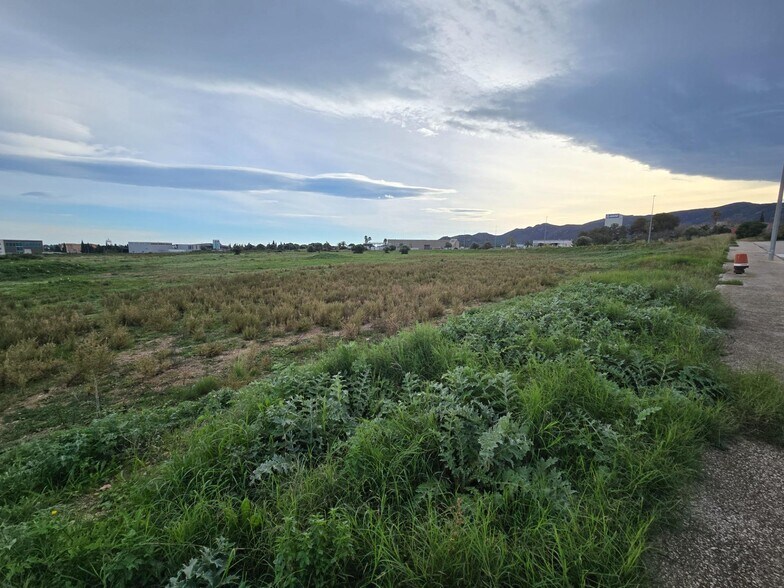 Terreno en Amposta, Tarragona en venta - Otros - Imagen 2 de 5