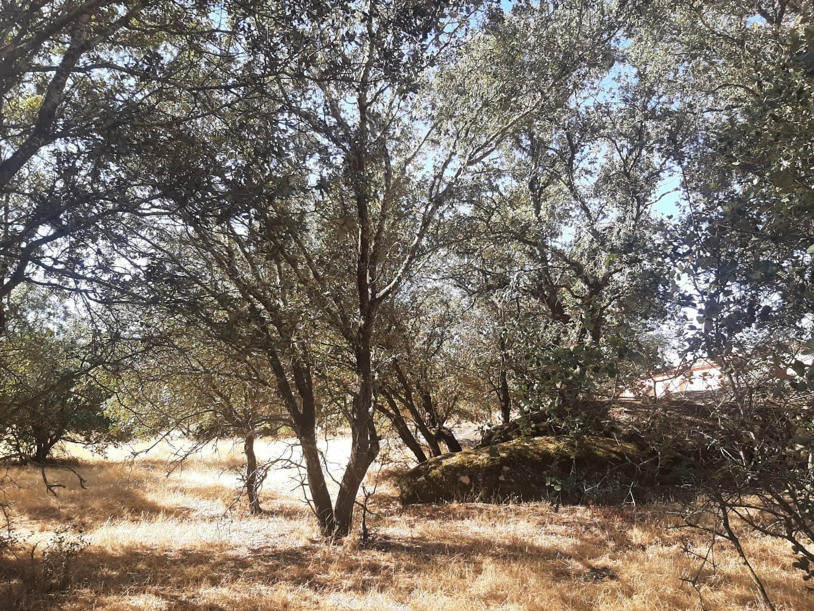 Terreno en Torreorgaz en venta Foto del edificio- Imagen 1 de 7