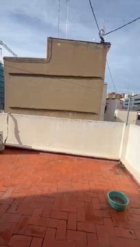 Flex en València, Valencia en alquiler - Vídeo de anuncio comercial - Imagen 2 de 8