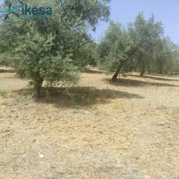Terreno en Jaén, Jaén en venta - Foto del edificio - Imagen 2 de 22