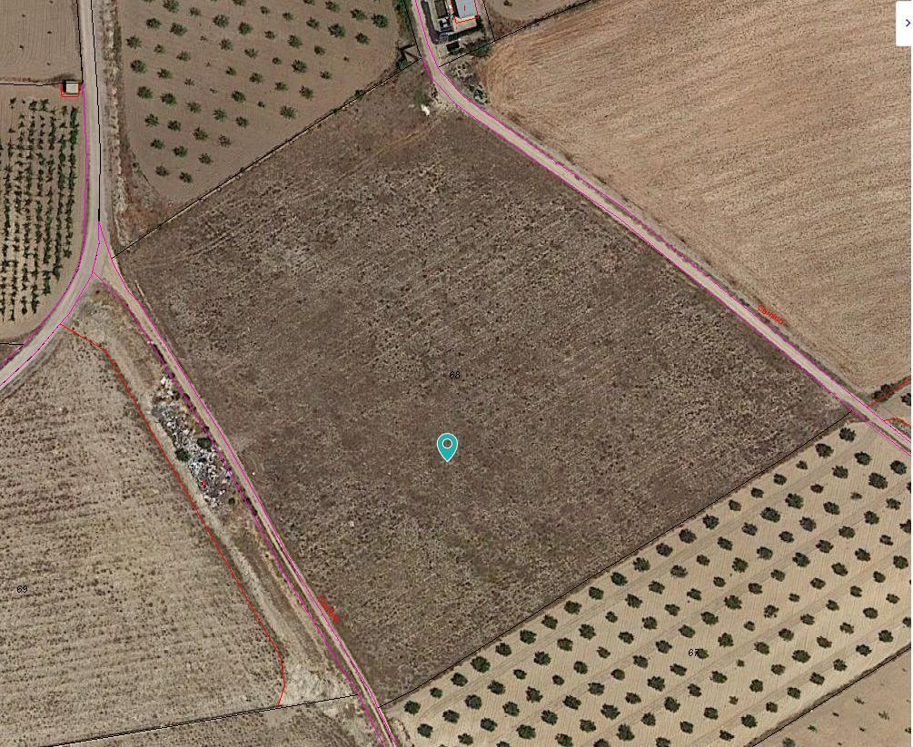 Aldea Cañada del Trigo, Jumilla, Murcia en venta Plano de la planta- Imagen 1 de 6