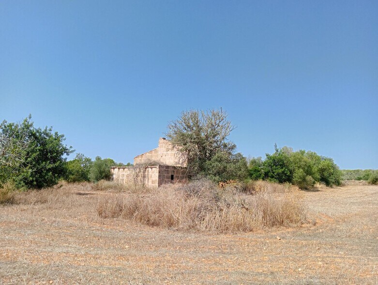 Terreno en Campos, Islas Baleares en venta - Foto del edificio - Imagen 2 de 15