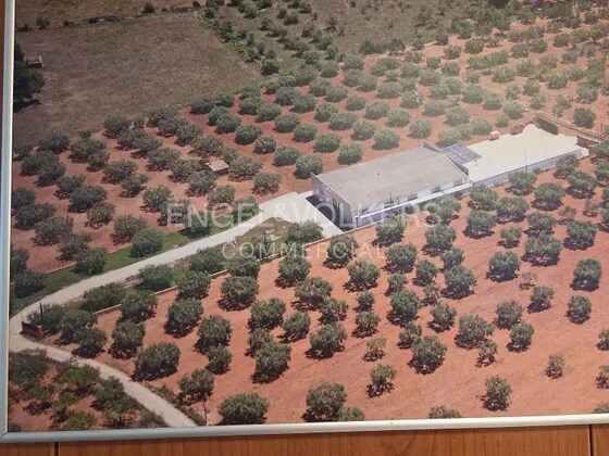 Más detalles de Nave en venta