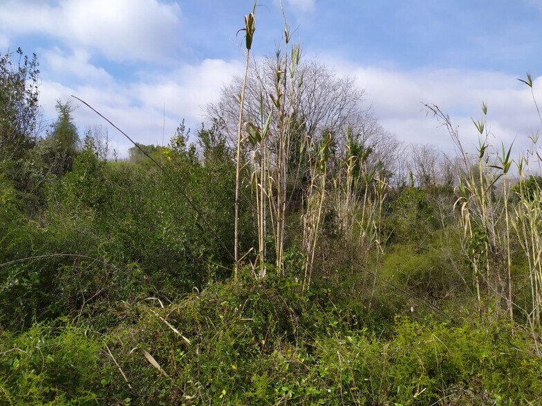 Carrer Coronel Oller, 14H, Vallmoll, Tarragona en venta - Foto de la construcción - Imagen 3 de 5