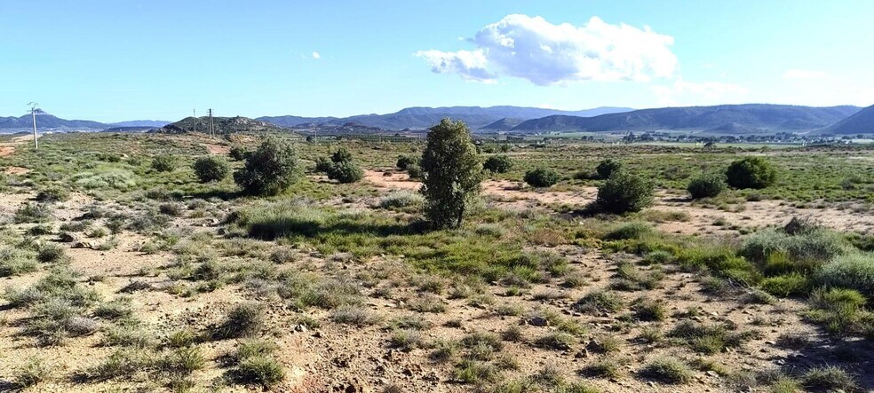 Partida los Cabezos, 16, Villena, Alicante en venta - Vista aérea - Imagen 2 de 5