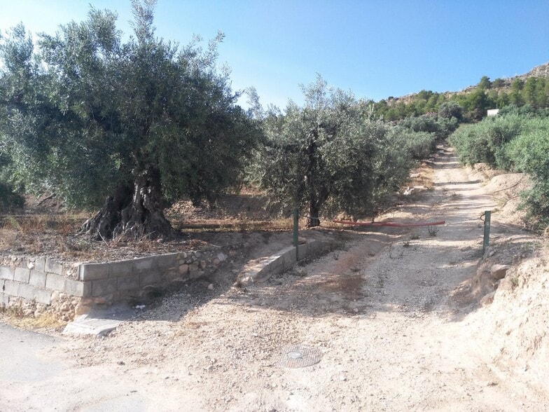 Terreno en Calasparra, Murcia en venta - Plano del sitio - Imagen 1 de 25