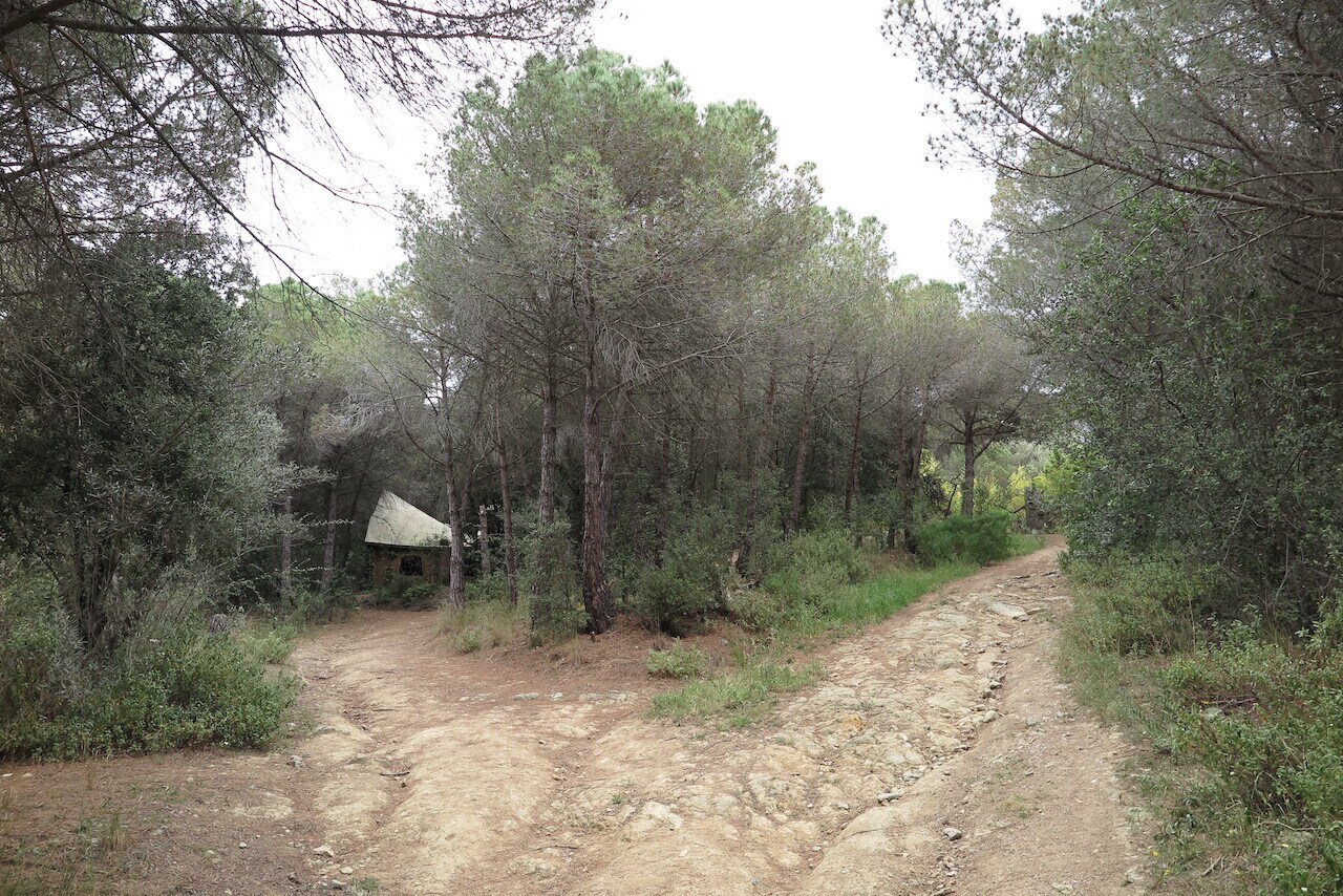 Terreno en La Llagosta, Barcelona en venta Foto principal- Imagen 1 de 6