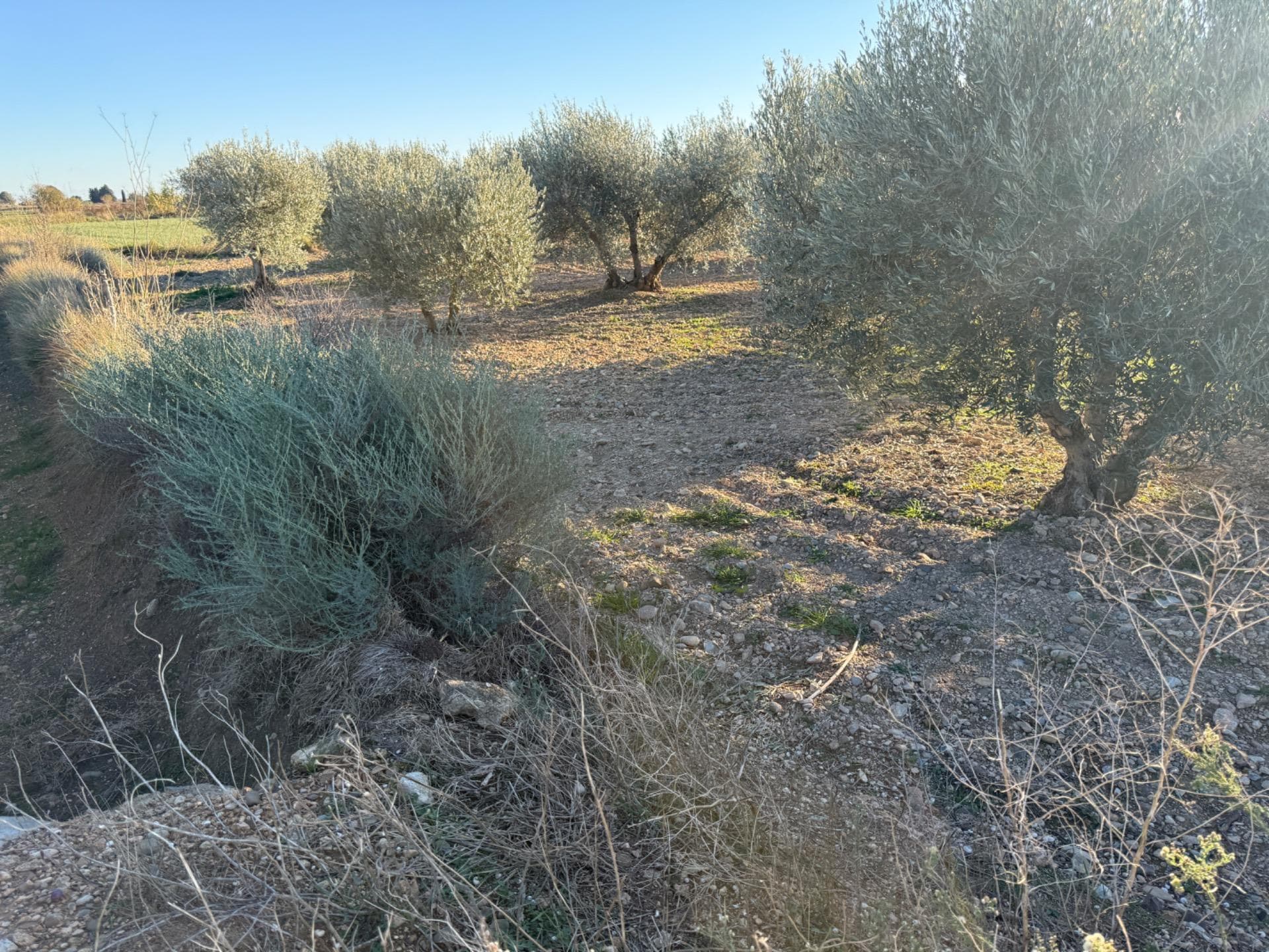 Terreno en Villamayor de Gállego en venta Foto del edificio- Imagen 1 de 15